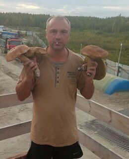Димитрий